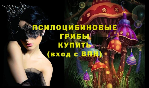 ГАЛЛЮЦИНОГЕННЫЕ ГРИБЫ Карпинск