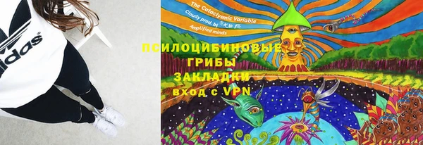 apvp Касимов