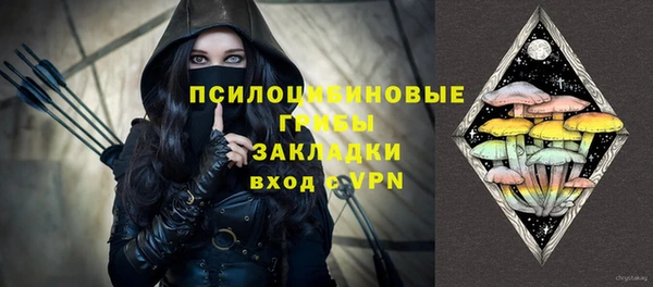 apvp Касимов