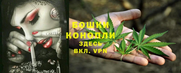 ECSTASY Карталы